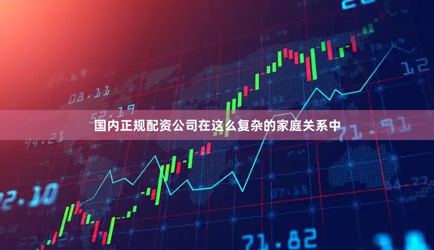 国内正规配资公司在这么复杂的家庭关系中