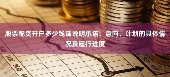 股票配资开户多少钱请说明承诺、意向、计划的具体情况及履行进度