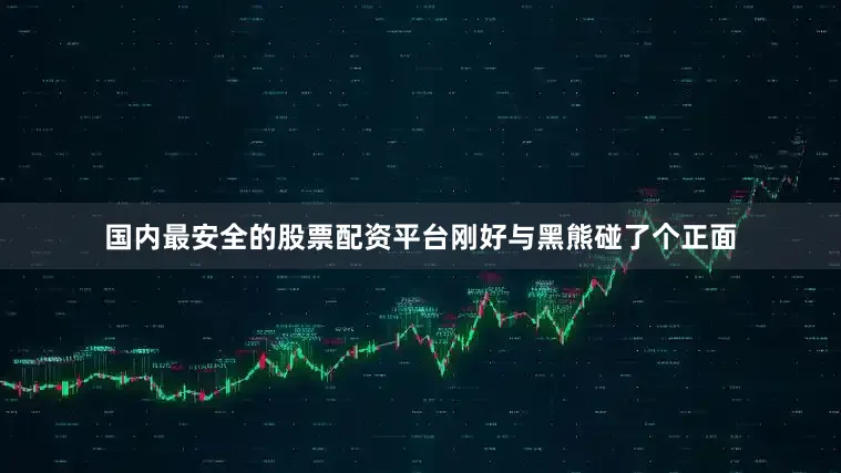 国内最安全的股票配资平台刚好与黑熊碰了个正面
