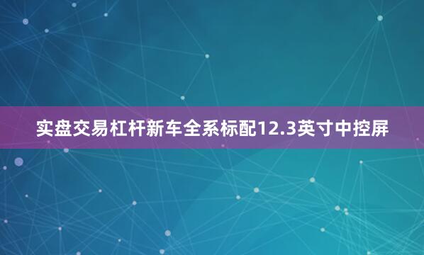 实盘交易杠杆新车全系标配12.3英寸中控屏