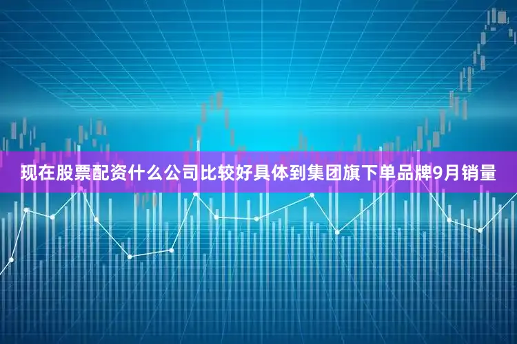 现在股票配资什么公司比较好具体到集团旗下单品牌9月销量