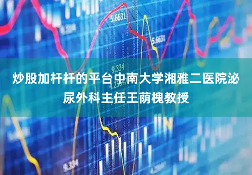 炒股加杆杆的平台中南大学湘雅二医院泌尿外科主任王荫槐教授