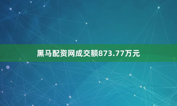 黑马配资网成交额873.77万元